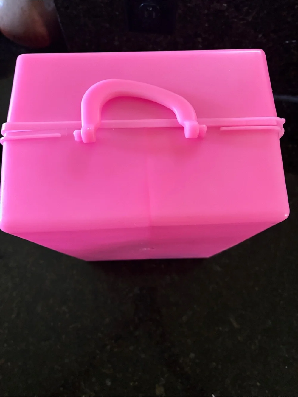 Barbie Pink and Black Doll Case Plus